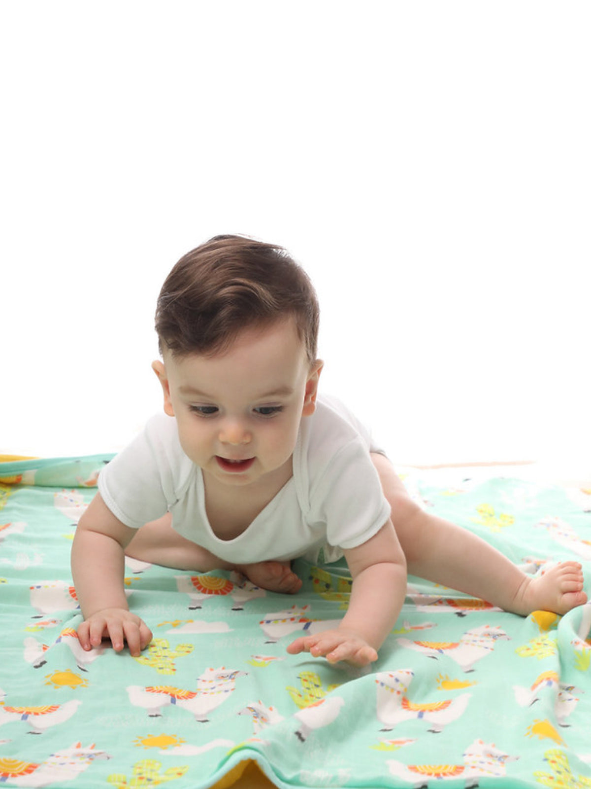 שמיכת טטרה לתינוק (4 שכבות)  - אלפקה סטייל