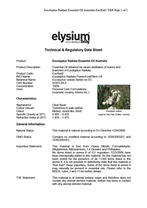 שמן אתרי אקליפטוס רדיאטה | Eucalyptus Radiata